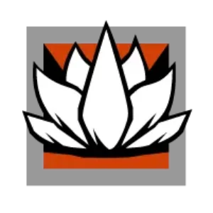 Aruni