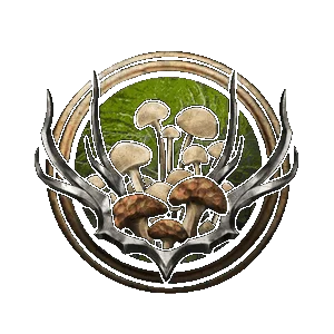 Spores