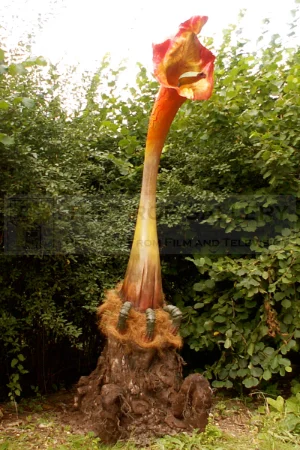 The Day of the Triffids (1981)